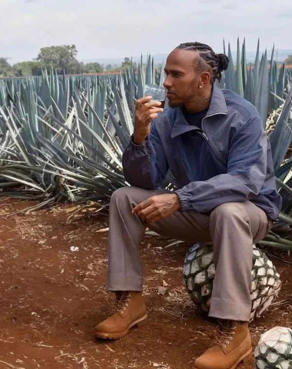 Almave - Blanco Blue Agave - Tequila - Image 6
